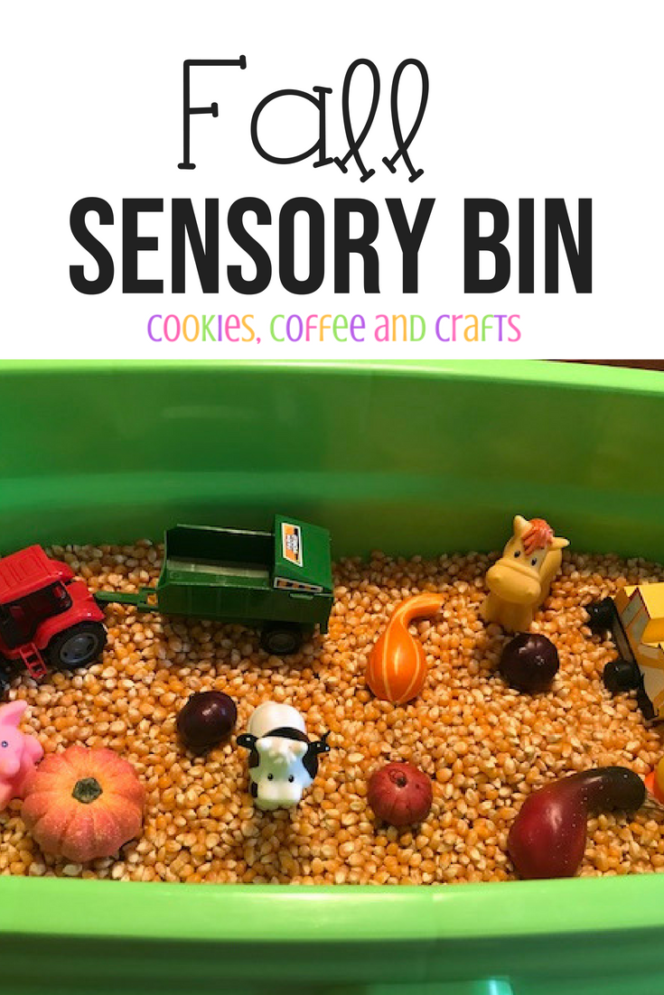 Fall Sensory Bin