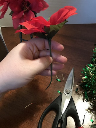 Cut-the-Poinsettias