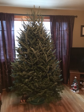 To-Perfect-Christmas-Tree