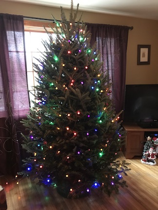 Tree-with-Lights