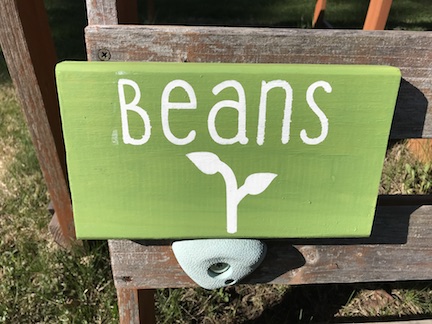 Make garden signs for your vegetable garden with this easy stencil method using your Cricut Maker. 