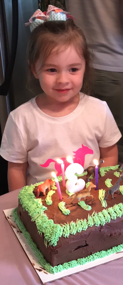 Make your child a customized wild and three birthday shirt for their special day. Learn how to create this using the Cricut Maker and the Cricut EasyPress.