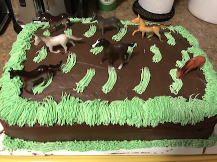 Create a wild & three horse themed birthday party for your little girl. Learn how to create all your party display and create beautiful decorations 