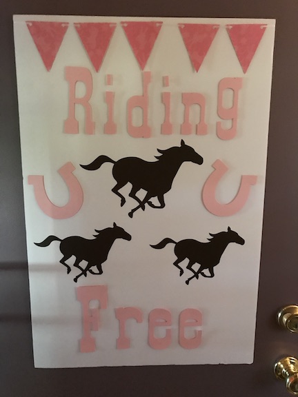 Create a wild & three horse themed birthday party for your little girl. Learn how to create all your party display and create beautiful decorations 