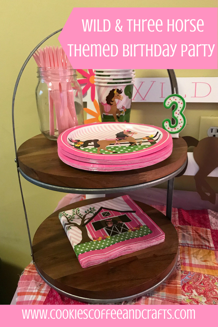 Wild & Three Horse Themed Birthday Party