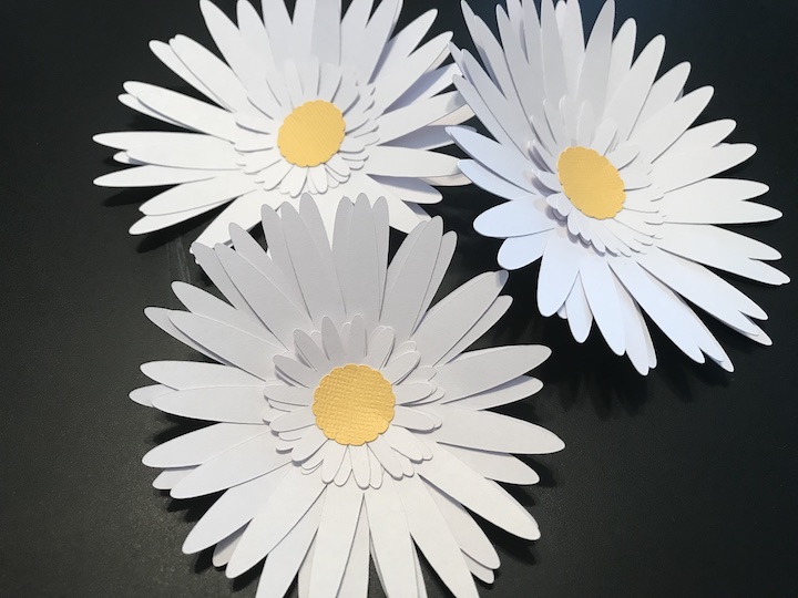 Cricut Paper Daisies 