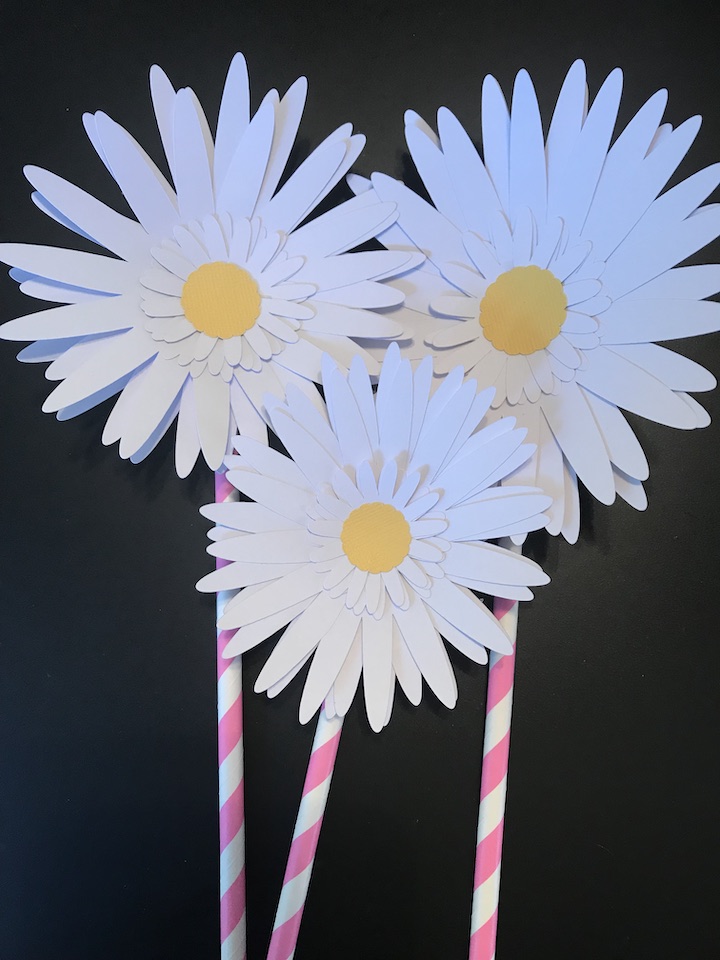 Paper Daisies on Straws 