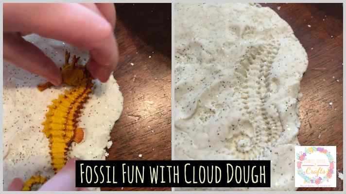 Fossil Fun