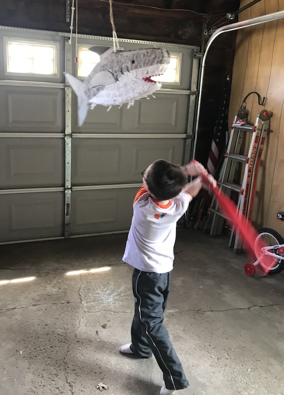 PInata Party Idea