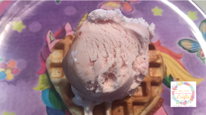 Ice Cream Waffle Sandwich