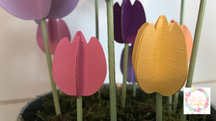 Small tulips in the metal bucket to create the spring 3D paper tulip bouquet