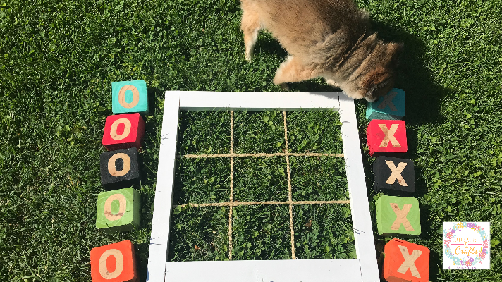 Our Pomeranian is checking out the backyard Tic Tac Toe Game