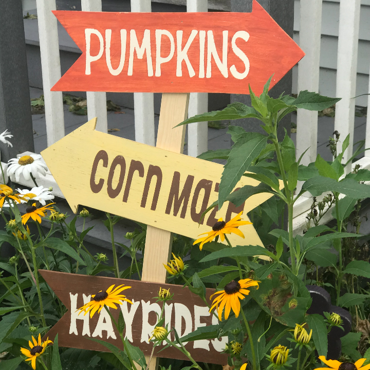 DIY Fall Yard Decor