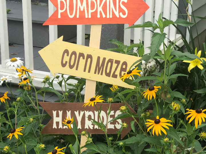 DIY Fall Yard Sign