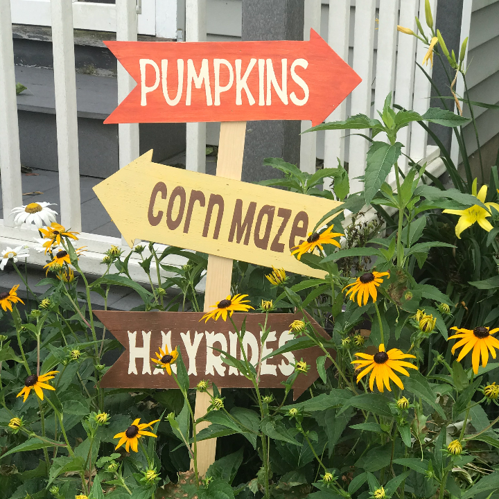 DIY Fall Yard Decor for Every Home