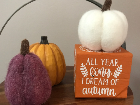 Cricut Joy Fall Project Idea