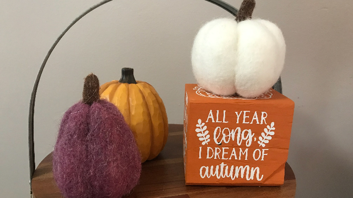 Cricut Joy Fall Project Idea