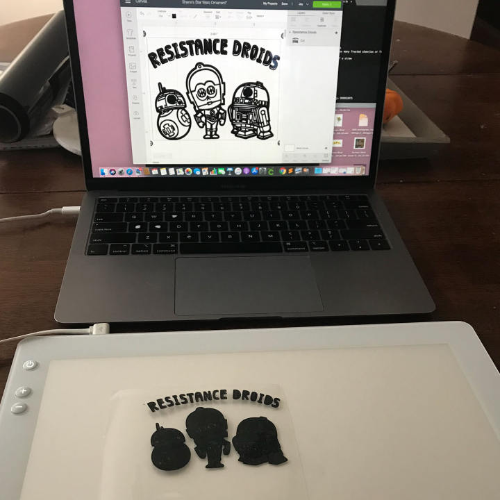 Looking at the image as I weed it using the Cricut tools