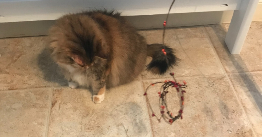 cat playing with berry garland 